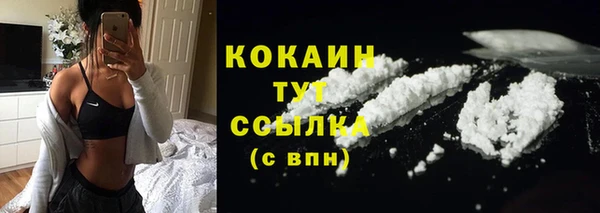 стаф Магадан