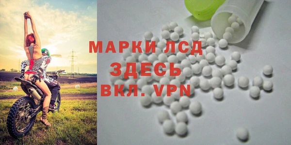 стаф Магадан