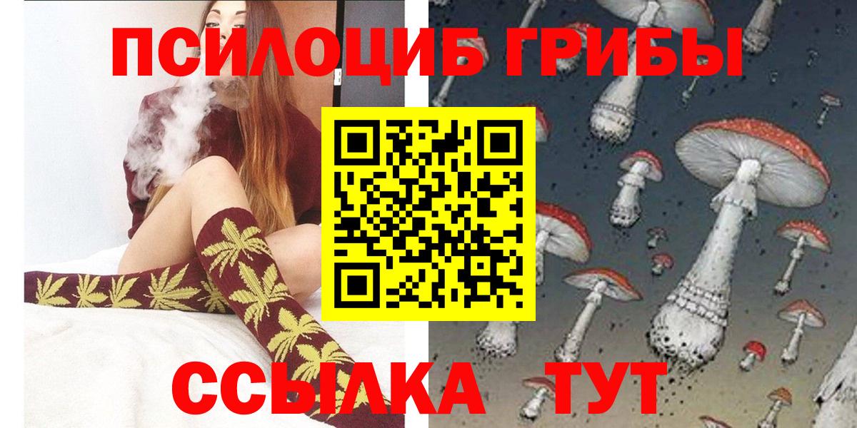 Карачаевск  Галлюциногенные грибы прущие грибы  Вход с VPN 